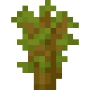 acacia_sapling