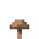 brown_mushroom