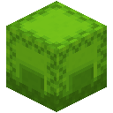 lime_shulker_box