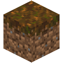 podzol